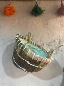 WhatsApp Image 2024-11-19 at 9.20.00 PM